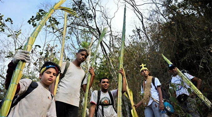 La tradición de los «palmeros» venezolanos, que bajan de la montaña para el Domingo de Ramos