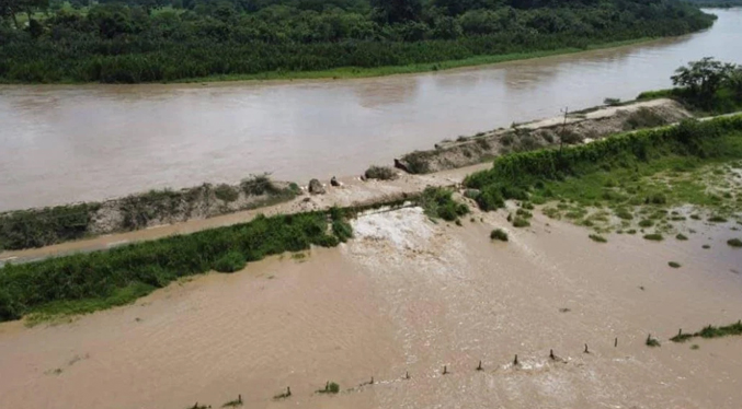 Dique del río Zulia cede con las lluvias e inunda zonas productivas del municipio Catatumbo