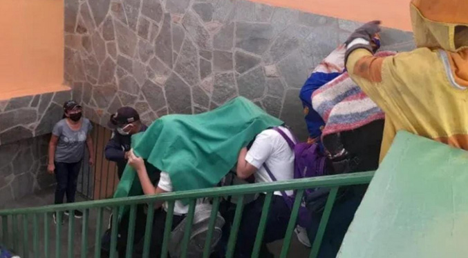 Ataque de abejas en escuela deja 19 lesionados en Carabobo