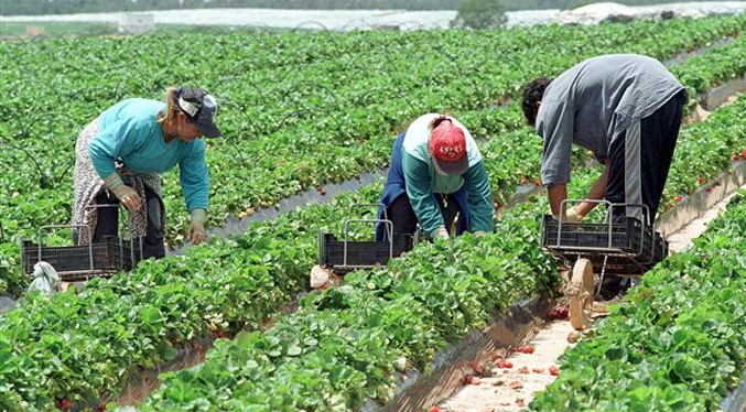 Al menos 102 campesinos defensores de la tierra víctimas de violencia y represión en Venezuela