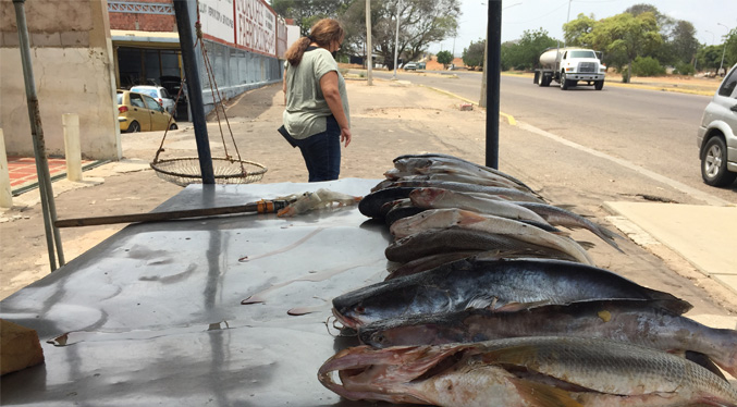 Oferta de pescado en Maracaibo es cotizada en divisas y se ubica entre 3.5 y 6 dólares