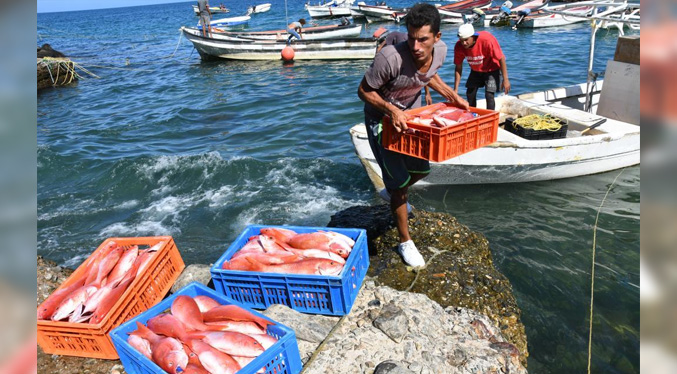 Sundde fija precios del pescado para Semana Santa