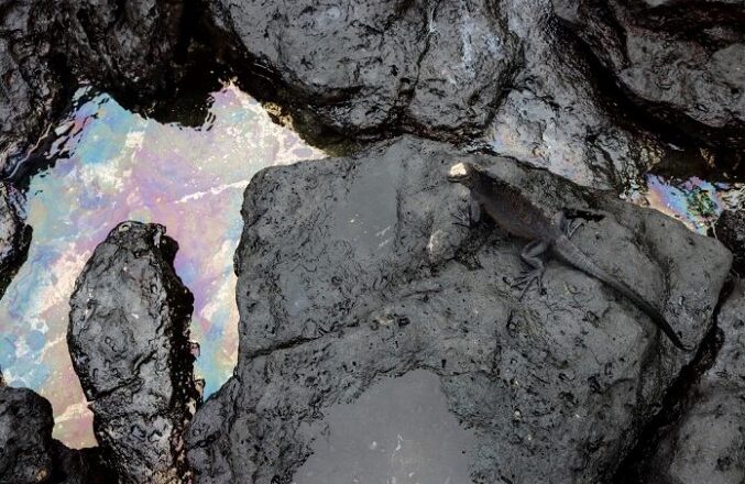 Combustible derramado en Galápagos no representa una afectación importante