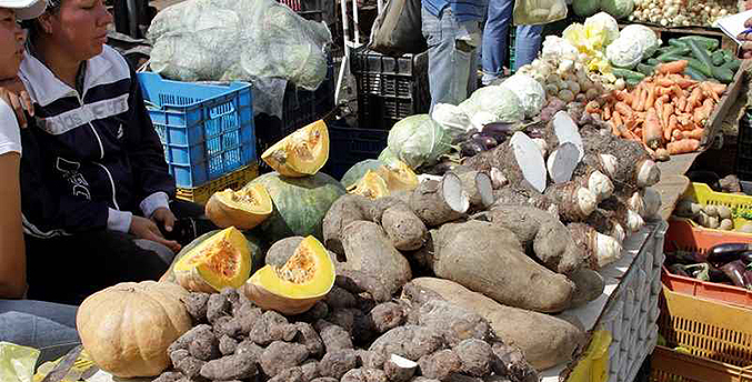 Suben los precios de verduras y hortalizas por las lluvias en el país
