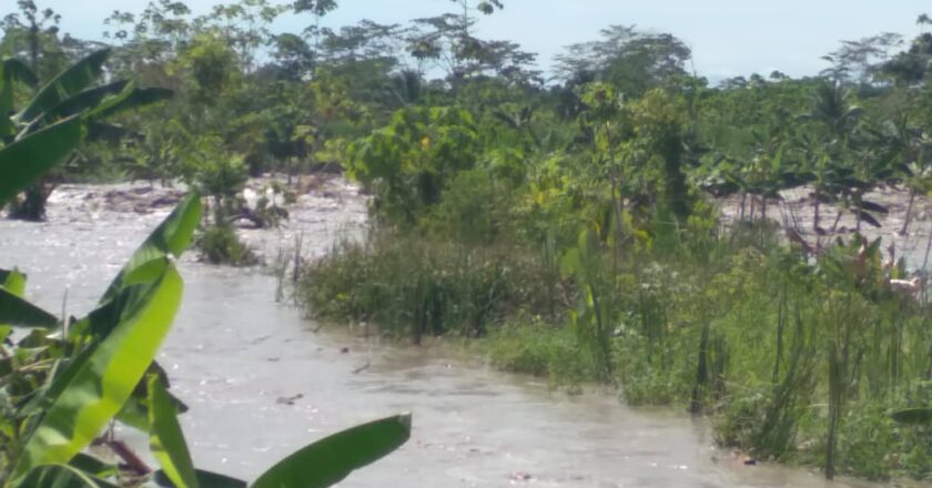 «Comunidades de Francisco Javier Pulgar bajo las aguas por crecida del río Chama»