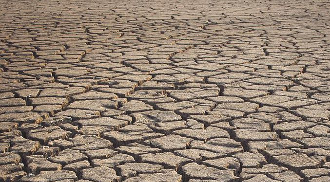 ONU: La humanidad está en una “encrucijada” por la sequía