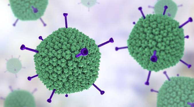 Adenovirus F41 es el virus que causaría la hepatitis en niños