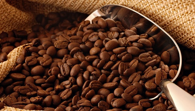 Fedeagro advierte sobre pérdida de calidad del café y cacao venezolano