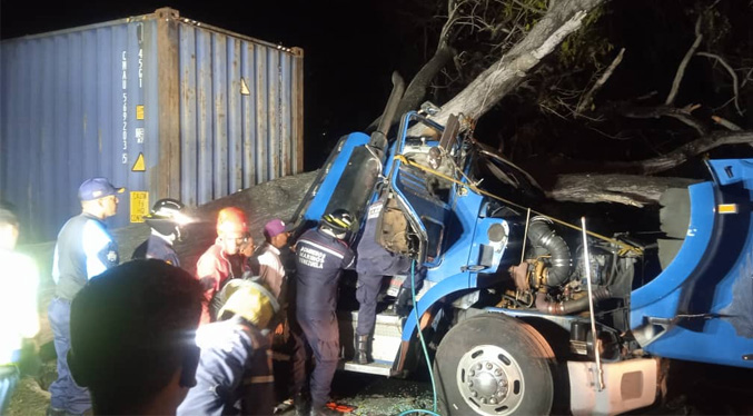 Desplome de un árbol causó la muerte de un camionero en La Guaira