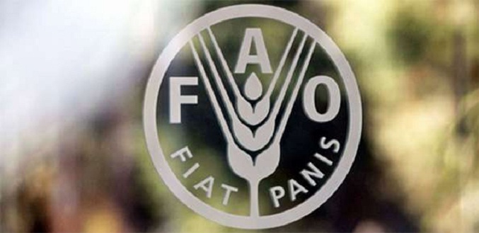 FAO teme que se agrave la crisis agroalimentaria en 2023