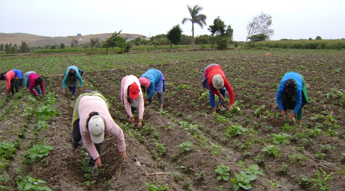 Fedeagro: El diésel no es el único problema del sector agropecuario