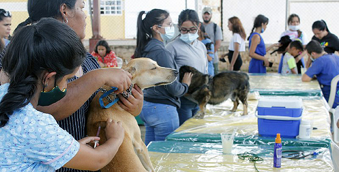 Alcaldía de Maracaibo lleva jornada de atención veterinaria a Altos del Sol Amado I