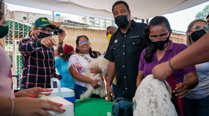 Alcaldía de Maracaibo y Agrofauna brindarán una atención especial a las mascotas este 12-J