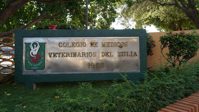 Colegio de Veterinarios del Zulia se prepara para elegir nuevas autoridades