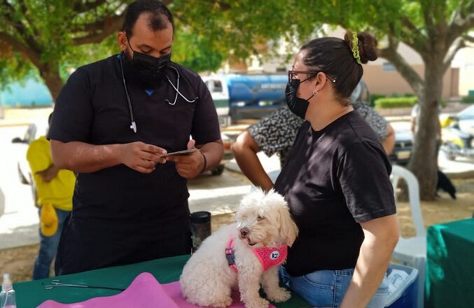 Alcaldía de Maracaibo lleva jornada de atención para las mascotas a la Plaza para Todos