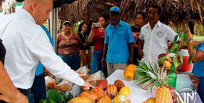 Héctor Rodríguez: La producción de cacao genera más de 6.000 empleos en el país