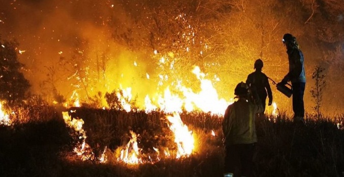 Casi 600 mil hectáreas arrasadas por los incendios forestales en España