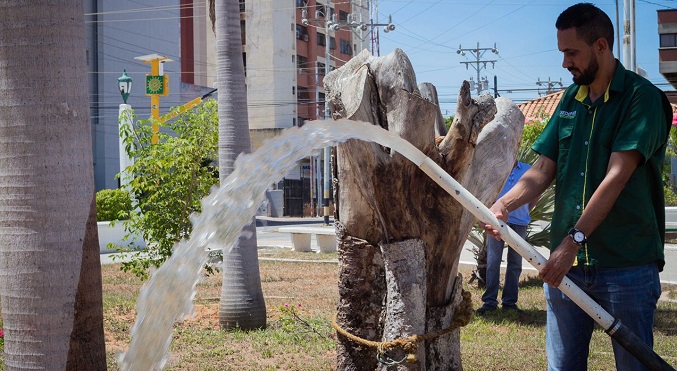 La Plaza de la República estrena un pozo de agua dulce por una «Maracaibo Verde»