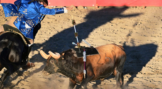 Sin sangre: Lusos adaptan a California su tradicional corrida de toros