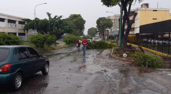 Vientos huracanados dejan sus consecuencias en Barquisimeto (Fotos y Videos)