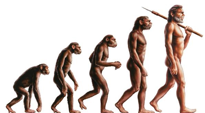 Antepasados humanos ya caminaban sobre dos piernas desde hace siete millones de años