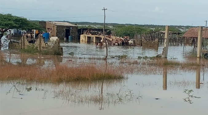 Inundaciones y damnificados dejan lluvias en la Guajira