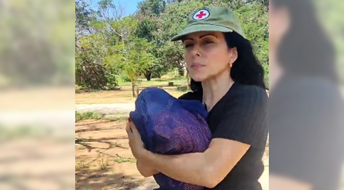 Organizaciones animalistas objetan procedimiento de la alcaldía de San Francisco con gatos movilizados