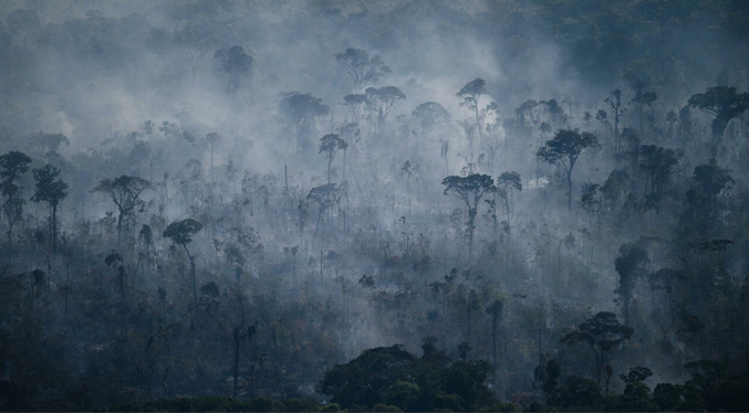 Incendios en la Amazonía de Brasil aumentaron en julio