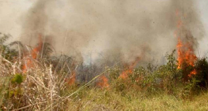 Gobierno boliviano reporta casi 300 mil hectáreas afectadas por incendios en 2022