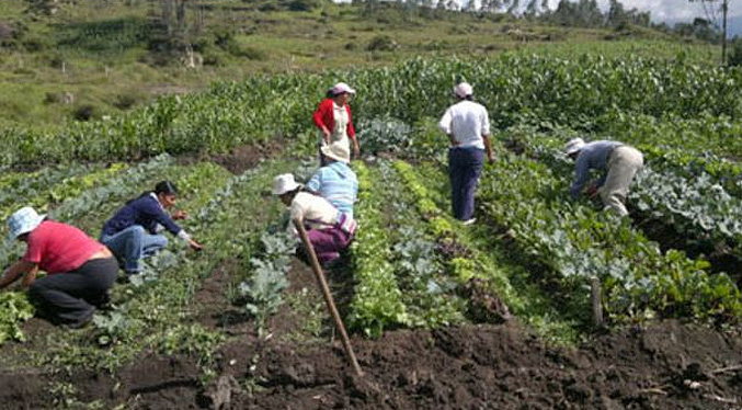 FAO: «América Latina necesita más integración para enfrentar el hambre»