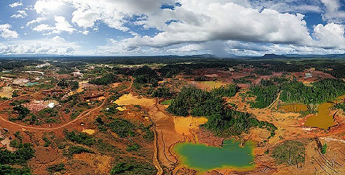 Clima 21: Venezuela, el país con mayor pérdida de bosques en región amazónica