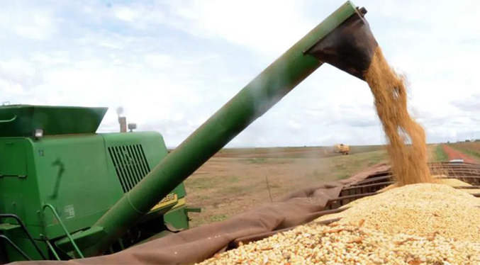 Brasil modera ligeramente la previsión de la cosecha de granos en 2022