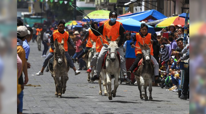Los Andes de Ecuador acogen a la carrera de burros más grande del mundo