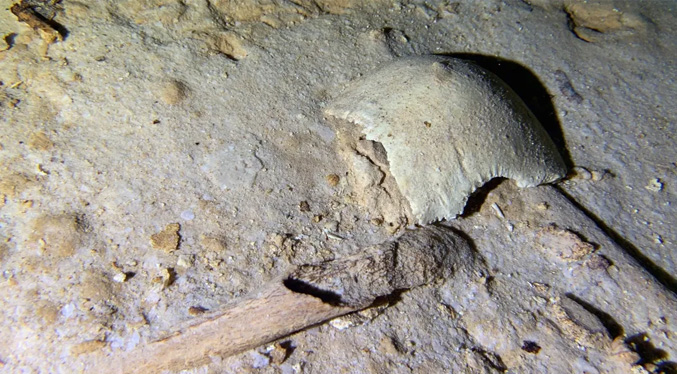 Arqueólogos hallan un esqueleto de ocho mil años en un cenote cerca del Tren Maya