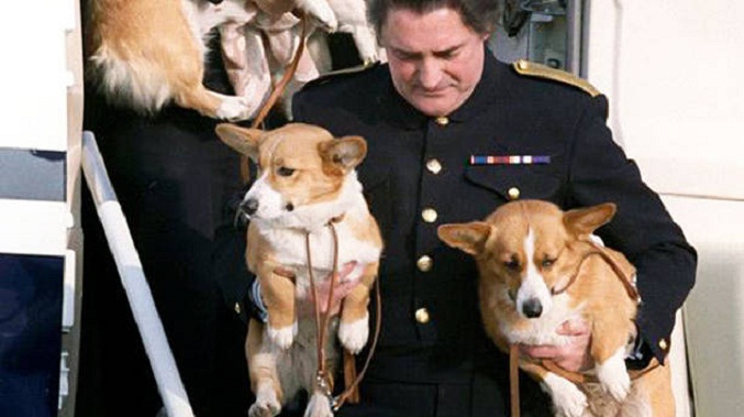 ¿Qué va a ocurrir con los famosos perros de la reina Isabel II?