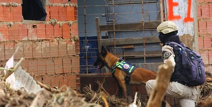 La unidad canina rescata con vida a cinco personas en Las Tejerías