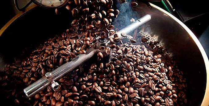 Fedeagro aboga por incrementar la producción de quintales cafeteros