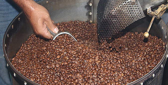Productores llegan a un acuerdo para establecer el precio del quintal de café