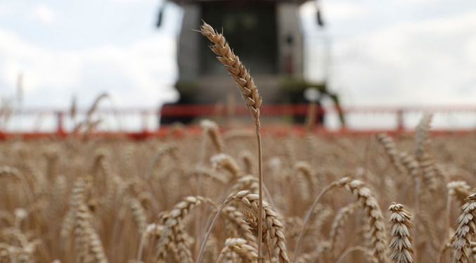 Pérdidas totales del sector agrícola ucraniano ascienden a más de 30 mil millones de dólares