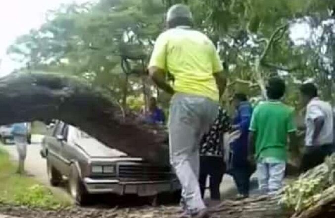 Árbol cae sobre un vehículo en la carretera La Villa del Rosario-Machiques