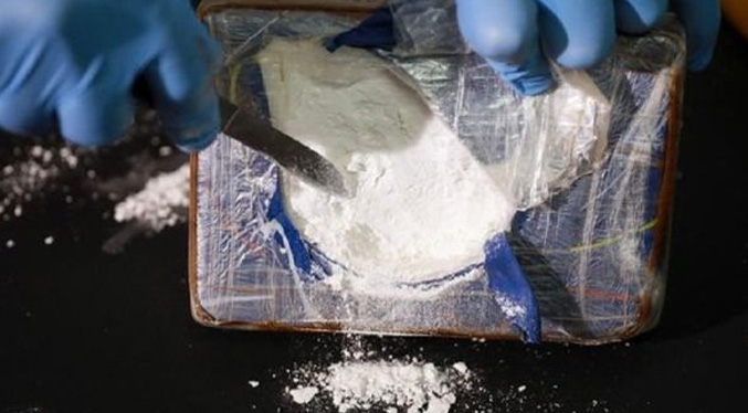 Alemania incauta 635 kilos de cocaína ocultos entre bananos