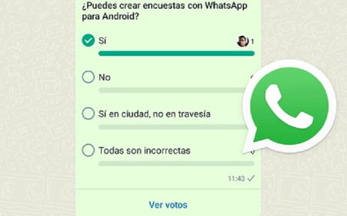 Llegan las encuestas al WhatsApp