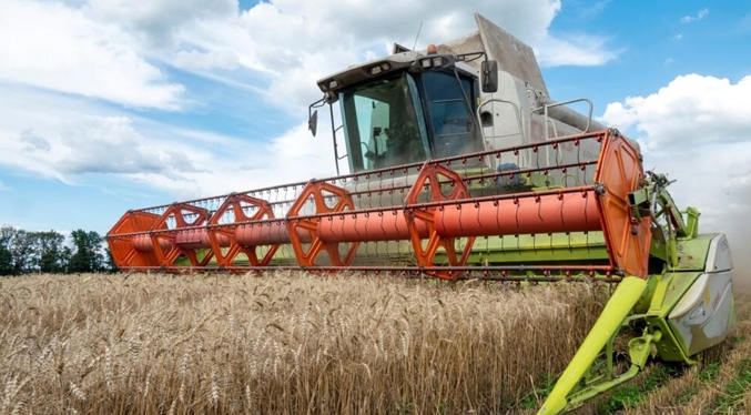Ucrania reanuda sus exportaciones de cereales tras el regreso de Rusia al acuerdo
