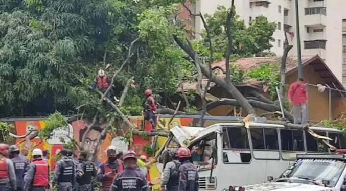Caída de árbol sobre una vivienda en Baruta deja un fallecido y varios heridos