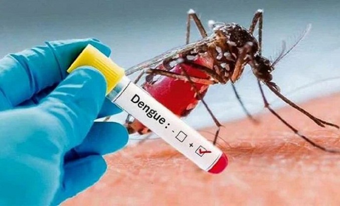 Brasil registra este año la muerte de 987 personas por dengue