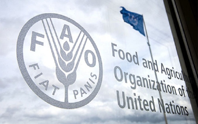 FAO afirma que el derecho a no padecer hambre está más amenazado que nunca