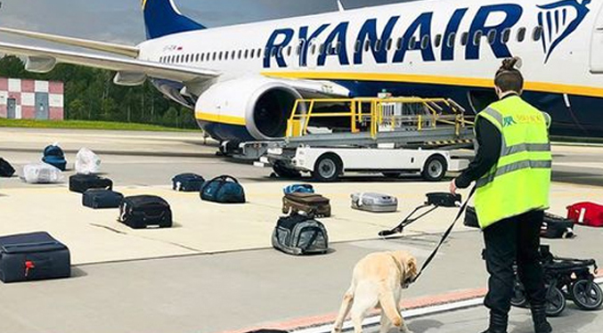 Una amenaza de bomba en un avión de Ryanair puso en vilo la vida de 186 pasajeros