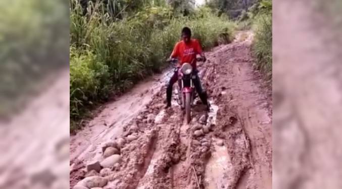 Yukpas de la Sierra de Perijá no pueden sacar sus cosechas