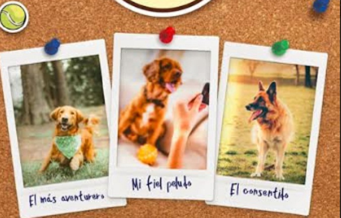 El calendario Dogourmet 2023 ya está disponible en versión digital