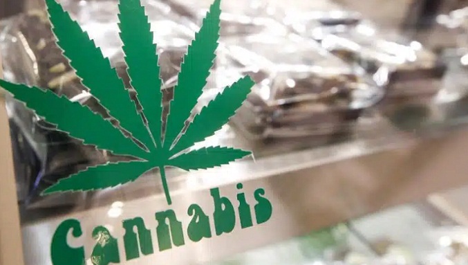 Legalización aumenta intoxicación infantil por cannabis comestible en EEUU